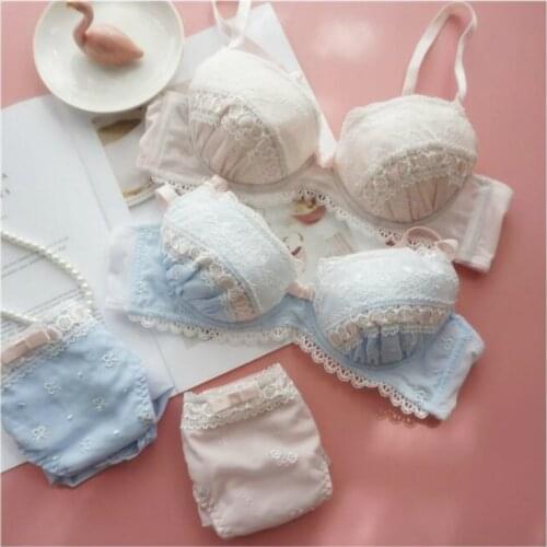 Japanese Sexy Push Up Bra and Panty Set Lace Underwear Women Ladies Embroidery Bralette Lingerie Plus Size Blue Pink Panties New