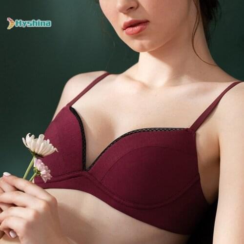 New Lace Sexy Girls Underwear, Female French Rimless Bra, Gathered Bra, Female Thin Cup Bra