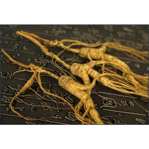 Wild Ginseng Wild Ginseng Wild Ginseng 16 Years Old Root 10g