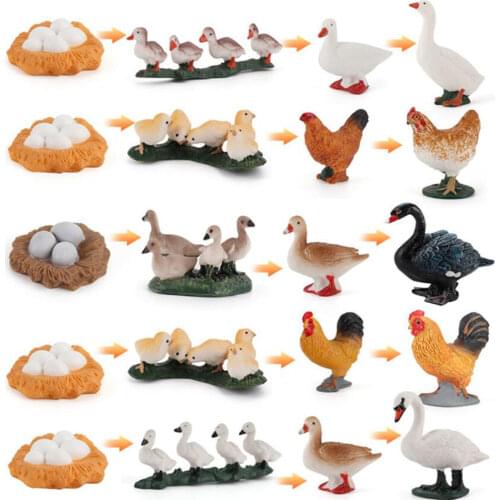 NEW Learning Animal Growth Cycle Kids Toys Plants Bees Cocks Crocodiles Snail Worm Model Children Toy Puzzle Education