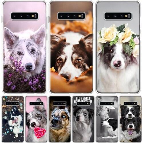 Border Collie Clever Dog Cover Phone Case For Samsung Galaxy S10 S20 Ultra Note 10 9 8 S9 S8 J4 J6 J8 + Lite Plus Pro S7 Coque