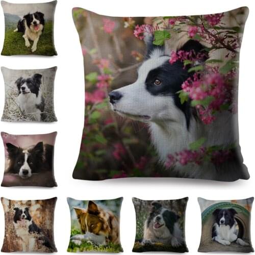 Scotland Border Collie Dog Cushion Cover for Sofa Home Car Decor Cute Pet Animal Dog Printed Pillowcase Linen Pillow Case 45*45