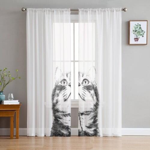 Cat Black And White Illustration Sheer Curtains for Living Room Modern Voile Curtain Bedroom Tulle Curtains Window Drapes Decor