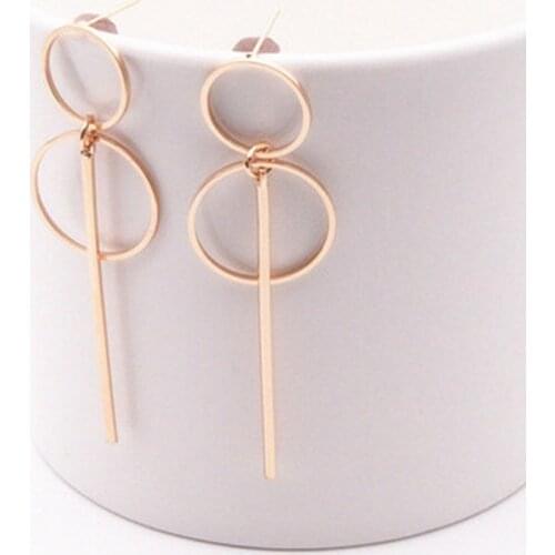 2021 Fashion Earrings Punk Simple Gold Silver Color Long Section Tassel Pendant Size Circle Earrings For Ladies Gifts Wholesale