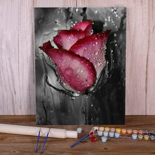 Flower Roses DIY Painting By Numbers Complete Kit Oil Paints 40*50 Oil Painting Home Decoration For Handicraft