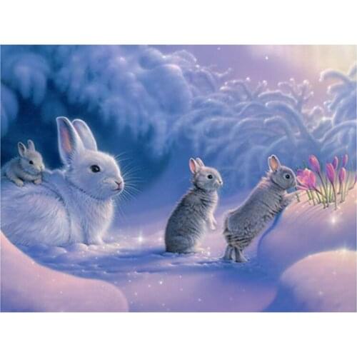 5d Diamond Painting Animal rabbit Full Square /Round Diamond Embroidery Sale Cross Stitch Mosaic Pictures Of Rhinestones TY523