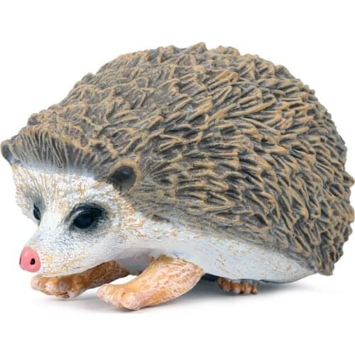 Soft-shelled TurtleAnimal Model Action Figure Wild Animal Action Figures Collection PVC Children Cognitive Toys