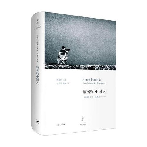 Der chinese des schmerzes by Peter Handke Modern Literature Novels Book