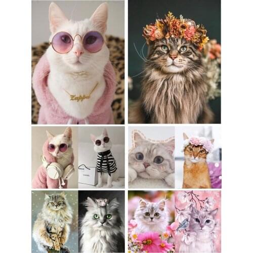 Pet Cat In Sunglasses Diy 5D Diamond Painting Full Square and Round Embroidery Mosaic Kit Wall Art Handmade Home Pet Store Decor