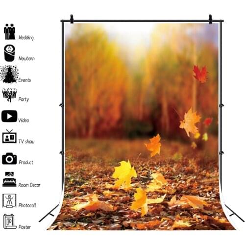 Autumn Forest Leaves Nature Scenery Scene Baby Portrait Wedding Backdrop Vinyl Photographic Background For Photo Studio Shoot
