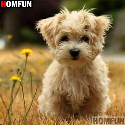 HOMFUN Full Square/Round Drill 5D DIY Diamond Painting "Animal dog" 3D Embroidery Cross Stitch 5D Decor Gift A17991