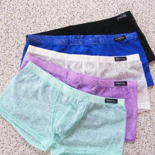 Lace Panties Sexy Men Underwear Transparent Boxer Low Waist Mens Boxer Shorts Howe Ray Brand Piquant Underpants Erotic Panties