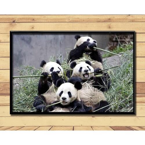 Giant Pandas Lovely And Valuable Animal (13) Wall Posters Prints Silk Art Painting For Home Wall Bedroom Decor
