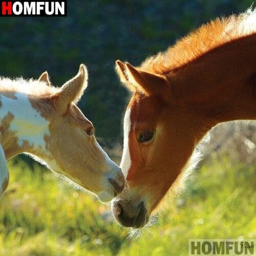 HOMFUN Full Square/Round 5D DIY Diamond Embroidery "horse" Diamond Painting Cross Stitch Rhinestone 5D Decor A01231