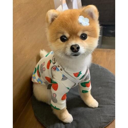 New Spring Pet clothes Puppy Home Clothes Cute Rabbit Pattern Pure Cotton Clothing For Dogs Cat Hoodies Pug Teddy Schnauzer Pet