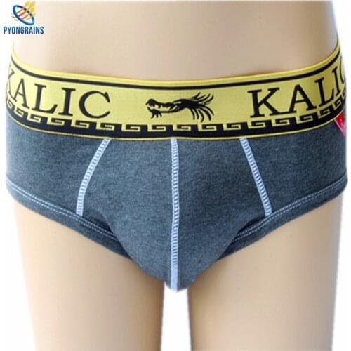 2016 New Hot Cotton Men Briefs Popular Sexy Men Underwear Briefs Male Boys Gay Mens Bikini Underpants Calzoncillos hombre slips