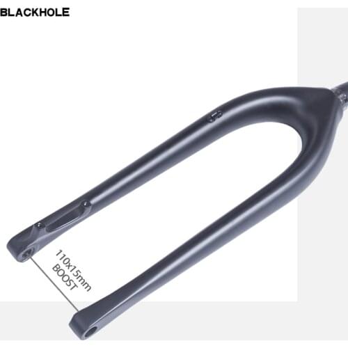 Blackhole Bicycle Forks