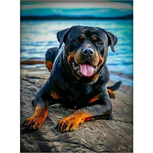 Full Display Square Round Animal Dog Rottweiler 5D DIY Diamond Painting Set Diamond Embroidery Mosaic Cross Stitch Pet For Baby