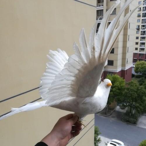 Real life Bird white feathers dove model large 45x65cm spreading wings peace bird garden decoration filming prop toy gift h1299