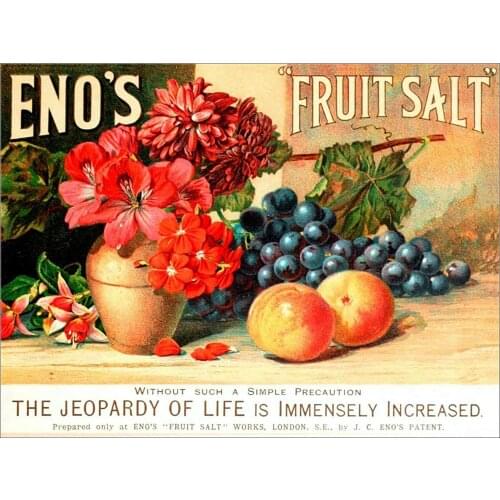 Fruit Vintage Retro Metal Tin Sign Poster Plaque Garage Wall Decor 20x30cm