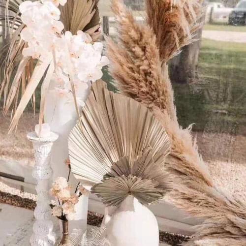 Palm Leaves Fan Leaf Pampas Grass Real Natural Plants Dried Flower Palm Leaf Artificial Art Home Decoration Wedding Arrangement