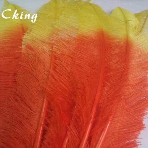 50PCS Multicolored Nandu Ostrich Feathers 45-50CM 18-20 Inches Long Width 6-10CM Natural & Real Ostrich Plumes For Wedding Decor