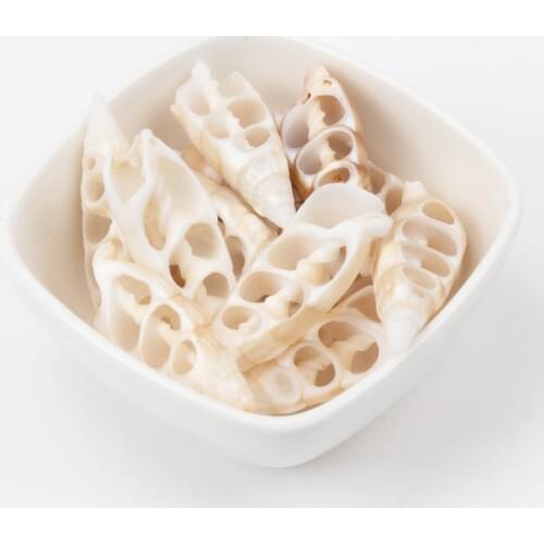 42-55mm white Natural Spiral Shell Loose Beads for jewelry making DIY 10pcs TRS0133X