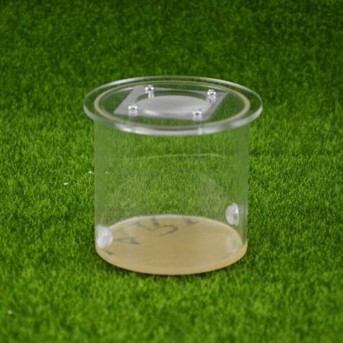 Cylindrical Ant Feeding Area Acrylic Pet Supplies Feeding Box Insect Reptile Accessories
