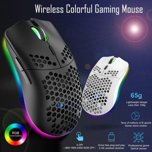 Wireless Gaming Mouse with RGB Light 3200DPI Lightweight Design Adjustable USB Optical Ergonomic Mouse For Laptop/PC /Computer