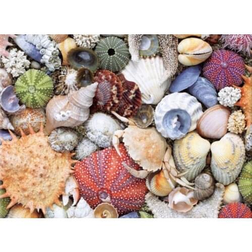 JMINE Div 5D Sea shell Full Diamond Painting cross stitch kits art High Quality Scenic 3D paint by diamonds