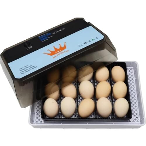 Automatic Mini Egg Incubator Brooder Intelligent Digital Egg Turning Over Incubators 15 eggs Hatching For Chicken Poultry