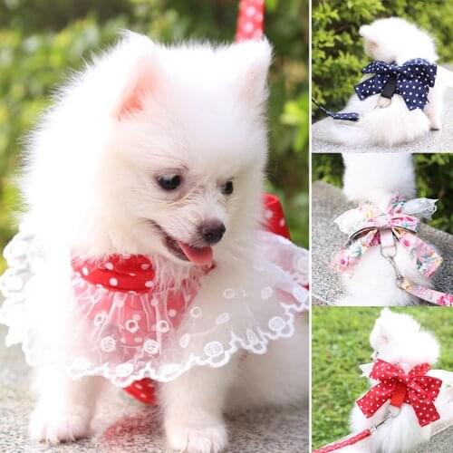 Pet Leash and Collar Cute Lace Bow Chest Strap Breathable and Comfortable Leash for Dogs Cats Breakaway Vest Leash Pet Supplies