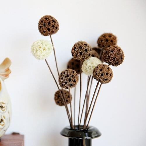 10pcs/lot Decorative Dried Flowers Natural Home Decoration DIY Crafting Accessories Flower Arrangement Decor Wedding Decorations