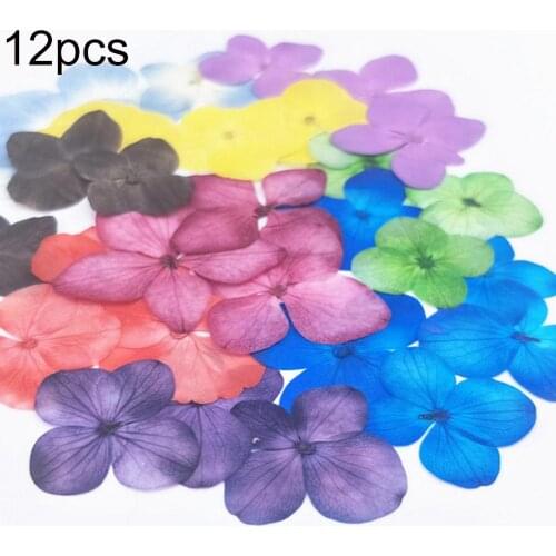 12Pcs Natural Pressed Decorative Dried Flowers Dried Flower Petals Artificial Flowers DIY Phone Case Party Wedding Decoration