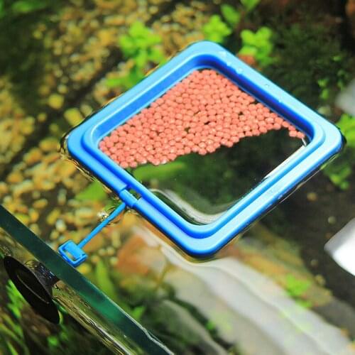 Aquarium Fish Feeder Fish Tank Food Ring Feeding Floating Tray Square/Circle Buoyancy Hollow Disk Reduce Food Waste