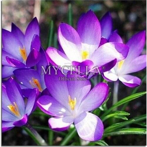 Flowers,Full Round,Diamond Embroidery,Crystal,5D,Diamond Painting,Cross Stitch,Diamond Mosaic,Needlework,Crafts,Christmas,Gift