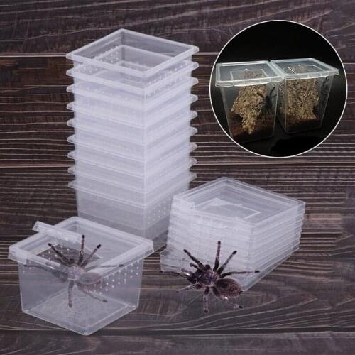 Terrarium for Reptiles Transparent Plastic Box Insect Reptile Transport Breeding Live Food Feeding Box Insect Rearing DropShip
