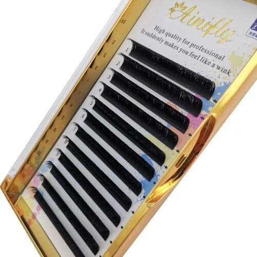 AINIFILY 0.07 D High Quality Fast Fan Blooming Eyelash Extensions Individual Lashes Automatic Flowering Volume Eyelashes
