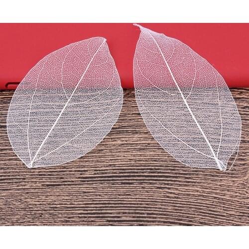 5-6cm/24pcs,Nature Real Touch Leaf Petals,Pressed Dried Flower Leaf for DIY Party Craft Bookmark Gift Card,Gift box Decoration