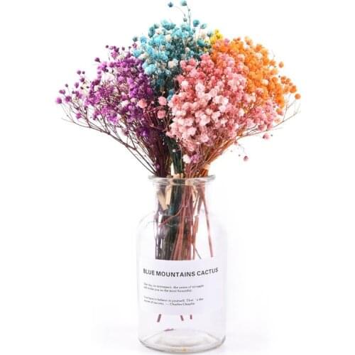 1 Bunch Mini Decorative Dried Flowers Babysbreath Flowers Bouquet Natural Plants Preserve Floral For Wedding Home Decoration