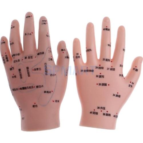 14cm Message Acupuncture Hand Model Reflexology Acupoint School Study Display