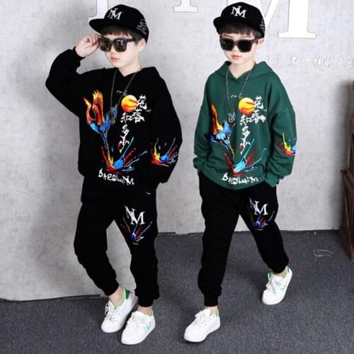 Chinese style Boys Clothes Sport Suit Casual Boys Clothing Sets Animal Bird Two Pieces Children Clothing Set Kids Tracksuit