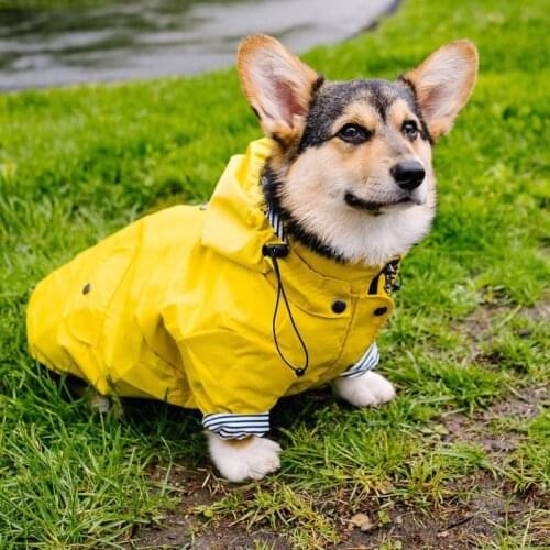 Pet Dog Raincoat Poodle Bichon Schnauzer Welsh Corgi Clothes Shiba Inu Samoyed Dog Clothing Waterproof Coat Jacket Outfit