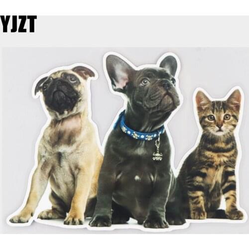 YJZT 16.9×12.5CM Fauna Cute Cats And Dogs Funny Animal Car Stickers Scratch Cover Decals 21A-0389