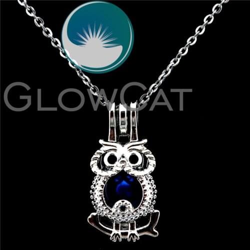 K722 Owl Beads Cage Pendant Essential Oil Diffuser Pearl Cage Locket Necklace Kids Girls Friends Gift