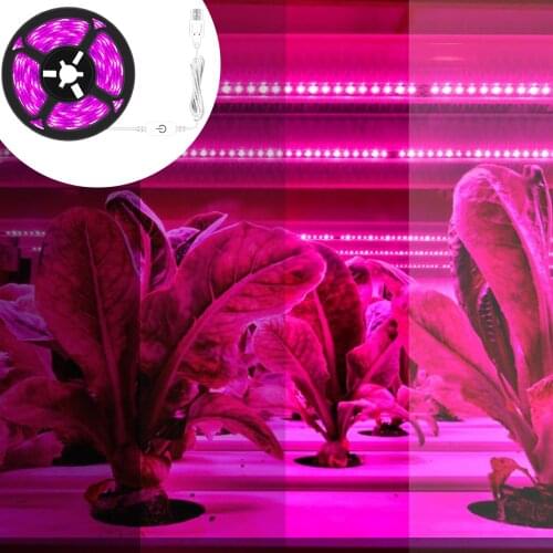 LMCWAN Professional Lighting