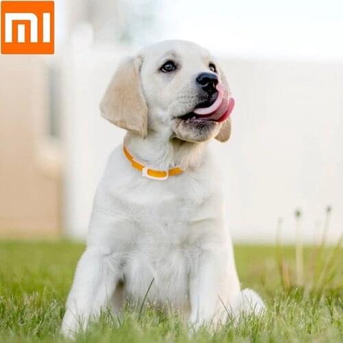 New Mijia Essential Oil Repellent Collar Pet Dog Cat Anti Lice Mosquitoes Flea Collars for Dog Cat Pet Deworming Supplies