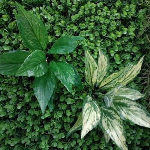 Artificial Croton Decorative Lifelike Cloth Artificial Plant Leaf Faux Leaf Stem Home Decoration