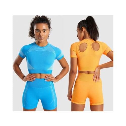 2 PCS Gym Set Workout Suit Women Short Sleeve Crop Top Seamless Fitness Shorts Sports Wear Gym Clothing Athletic Yoga Set