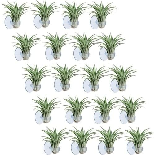 20 Pcs Air Plant Holder, Plant Pot Tillandsia Holder Air Plant Hanger with Suction Cup for Hanging (Plants Not Included)-Dropshi